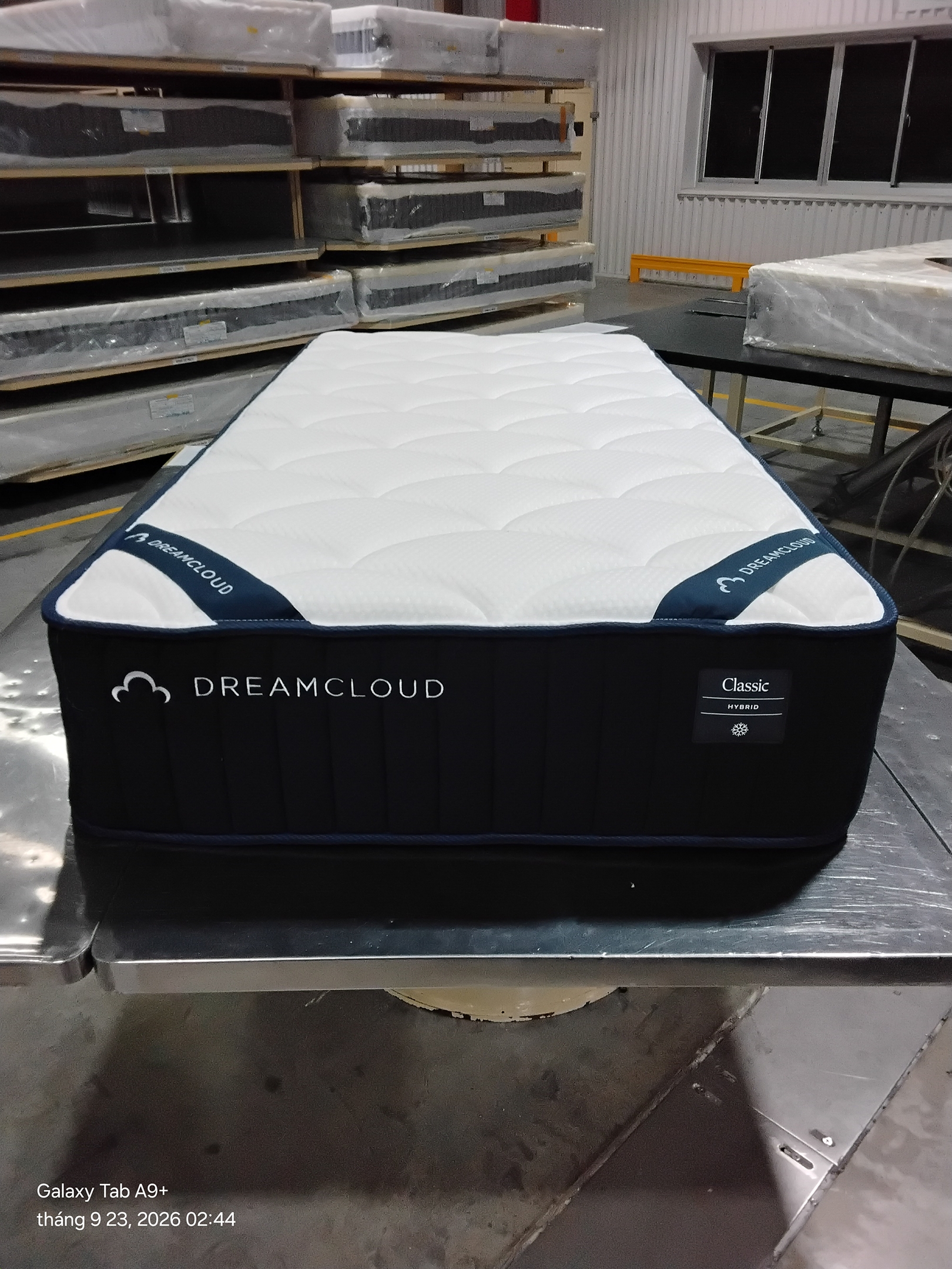 AirBrush_20260923034216.jpg